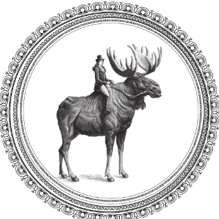 Archer Roose