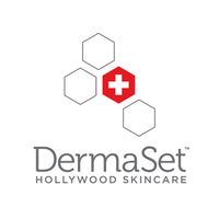 DermaSet logo