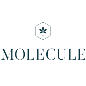 MOLECULE