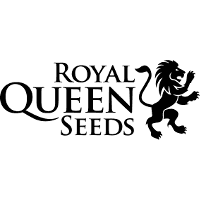Royal Queen Seeds logo