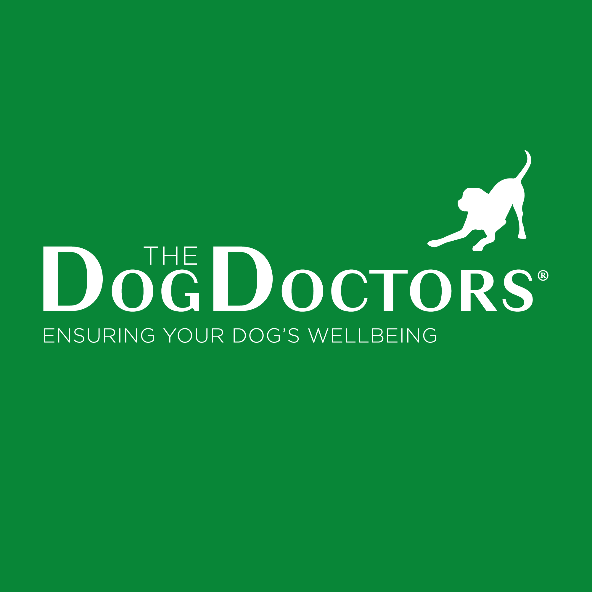 The Dog Doctors